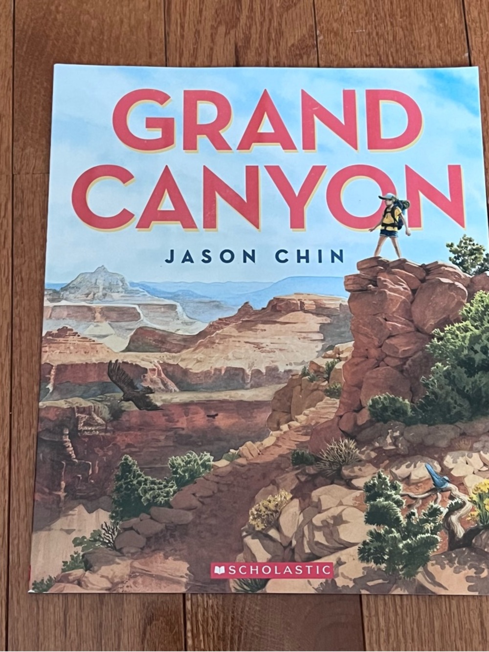 Scholastic Grand Canyon by Jason Chin Children Book